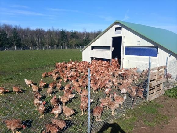 Ferme authentique Ferme authentique